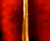 Deyutza